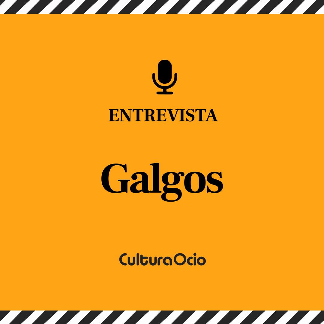 Galgos | Félix Viscarret, Nely Reguera, Adriana Ozores, Luis Bermejo, Óscar Martínez, María Pedraza y Patricia López Arnaiz episode artwork