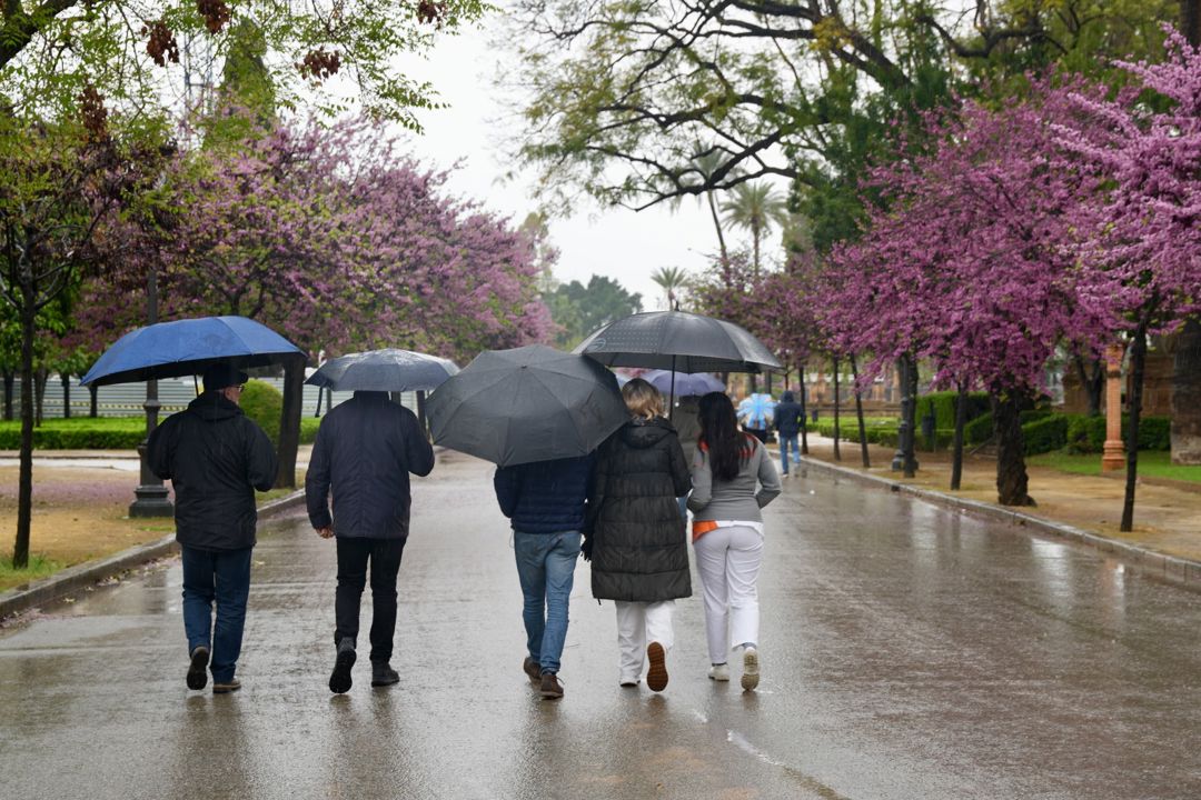 Andalucía Informa 20 de marzo de 2026
