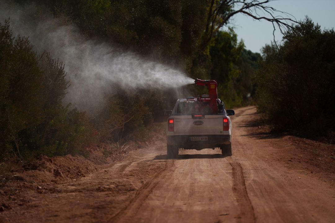 Andalucía Informa 5 de agosto de 2026 episode artwork